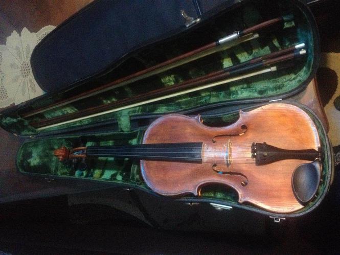 Violina