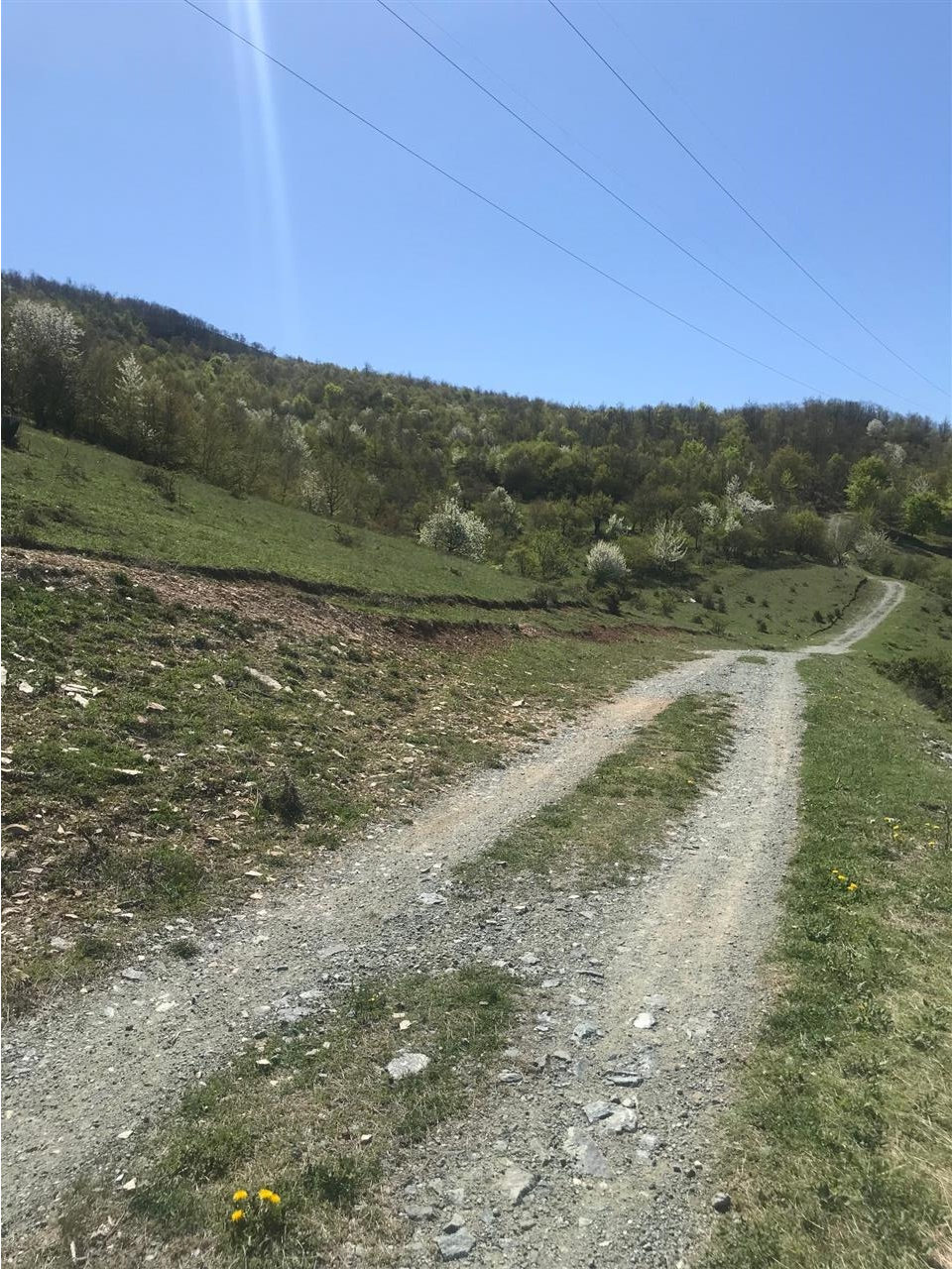 Trolli-ne-Sofali