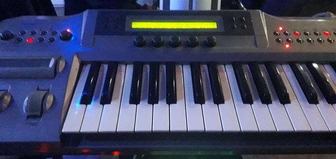 Korg profesi