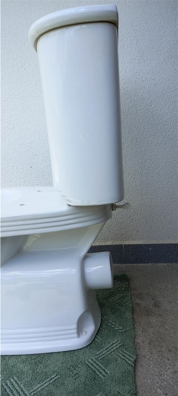 Shole