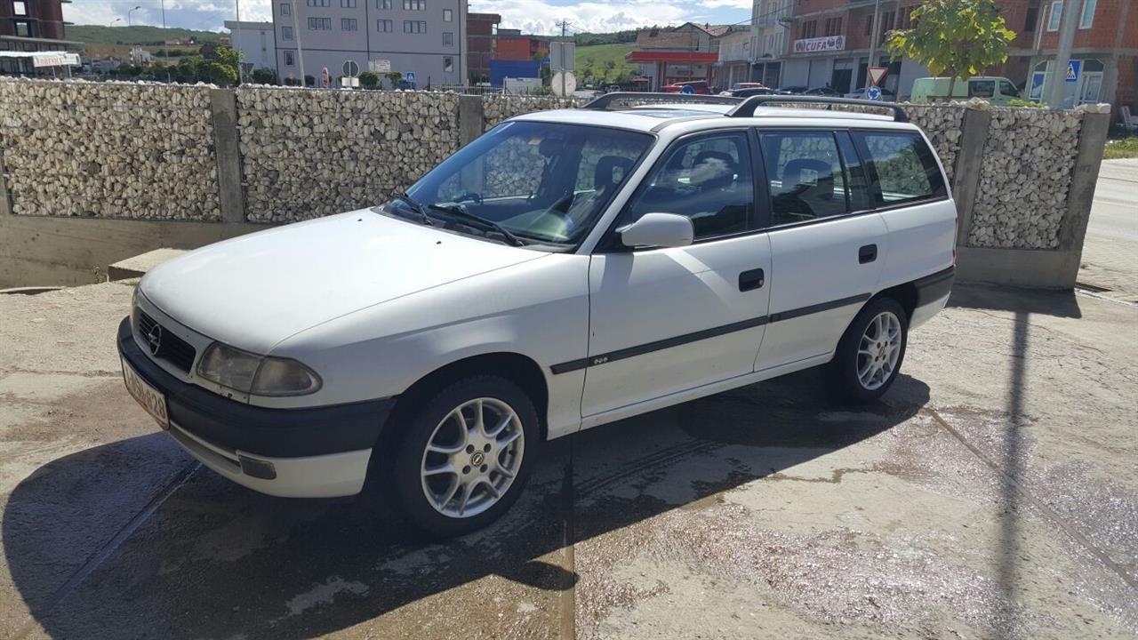 Opell-Aster