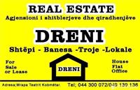 DRENI Patundshmëri