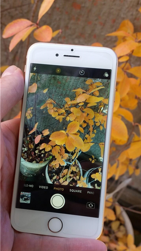 Iphone 8 64gb u shit "Zero-tech"