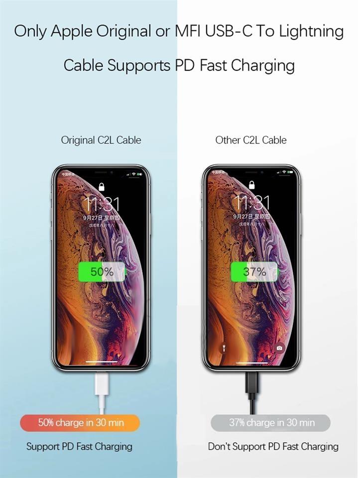 IPHONE-ADAPTER-100-ORG-