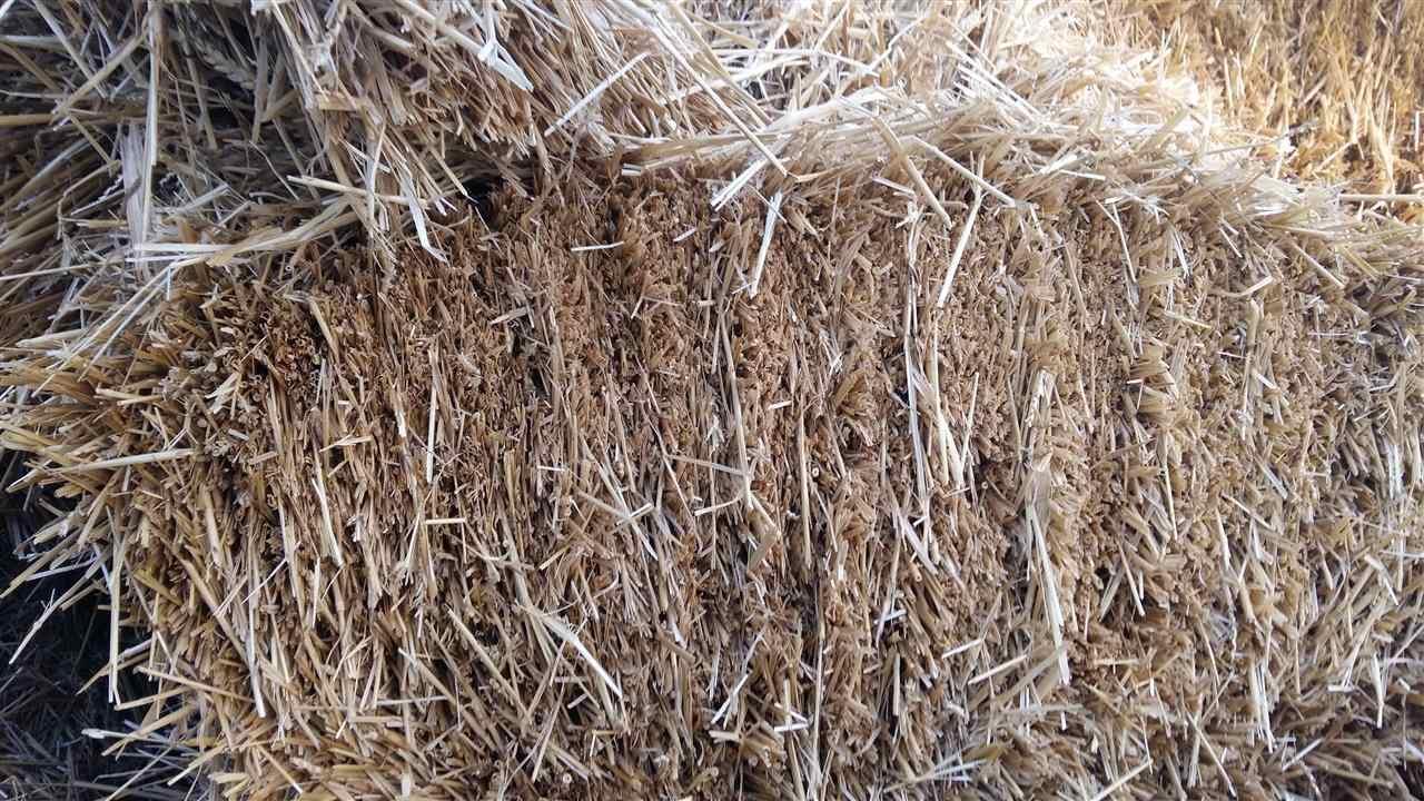 Kashtë-