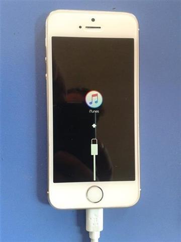 iphone 5s