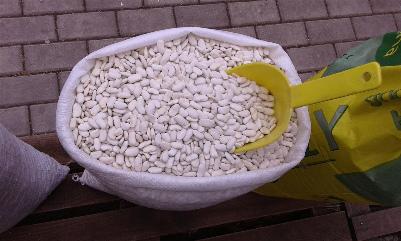 Pasul-Vendor