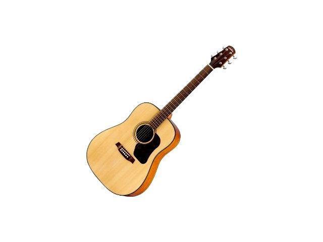 Gitare-WALDEN