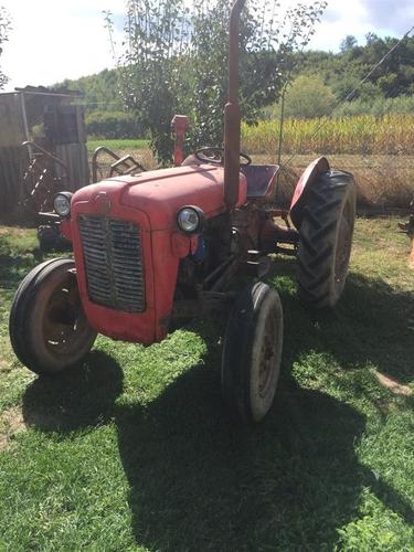 Ferguson 33