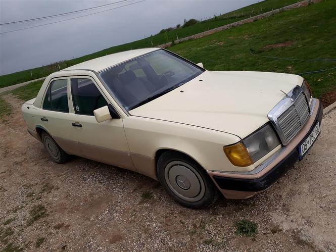 Merc