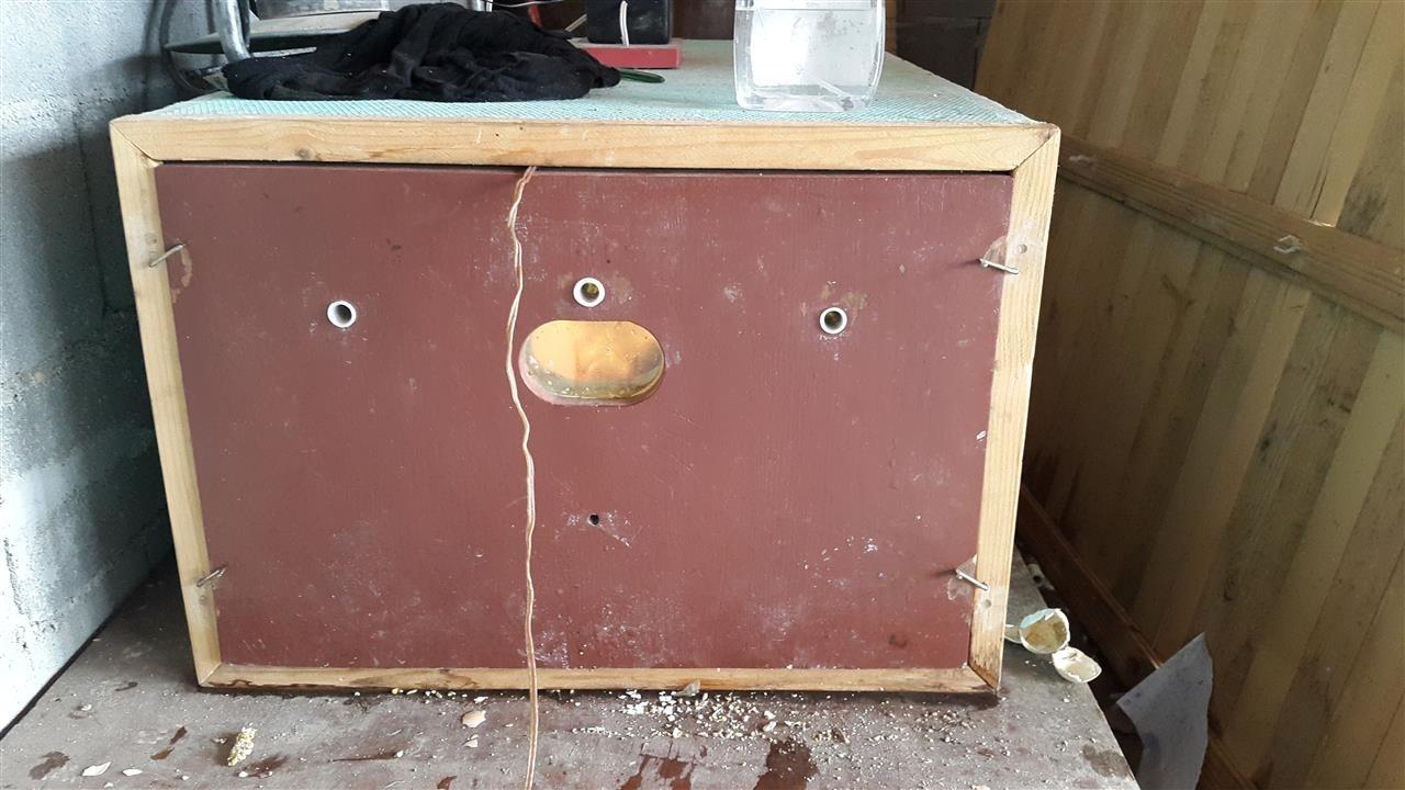 Inkubator