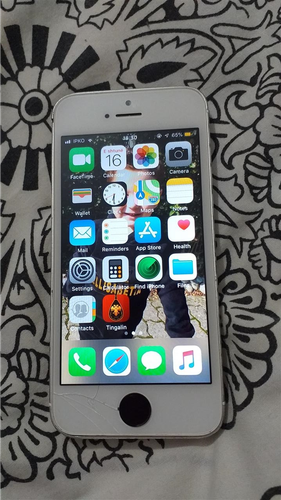 iPhone 5s