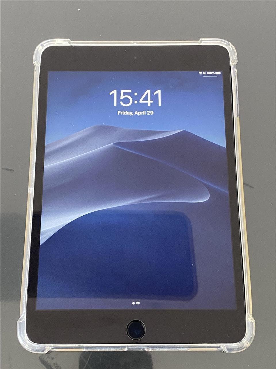 ipad-mini-4