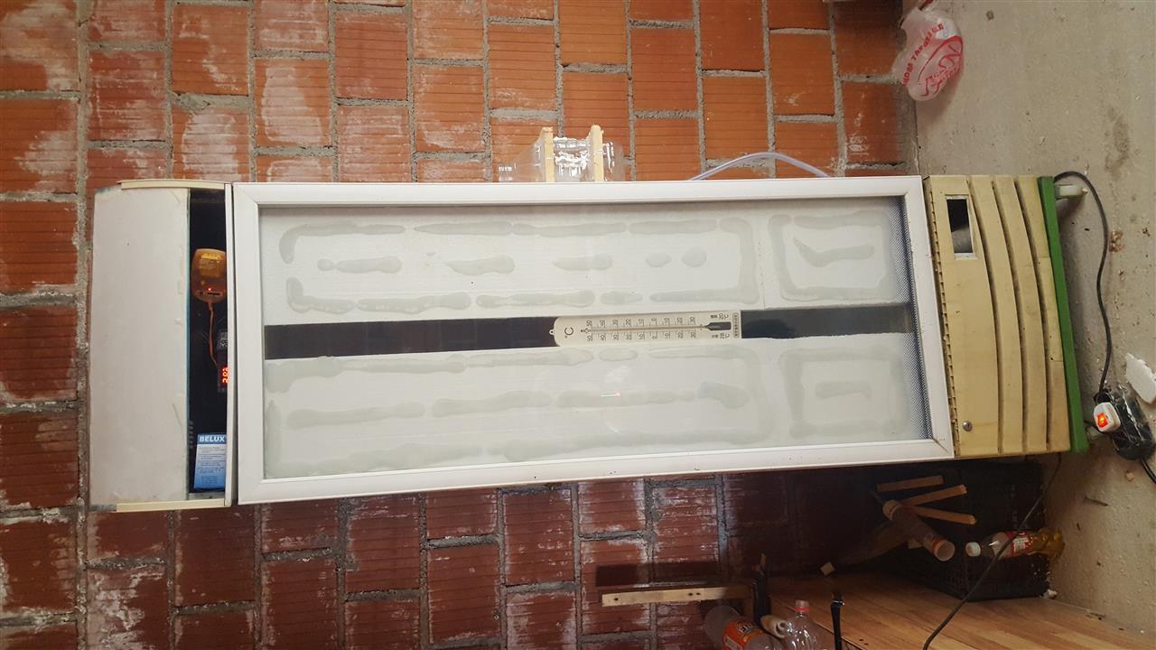 Inkubator