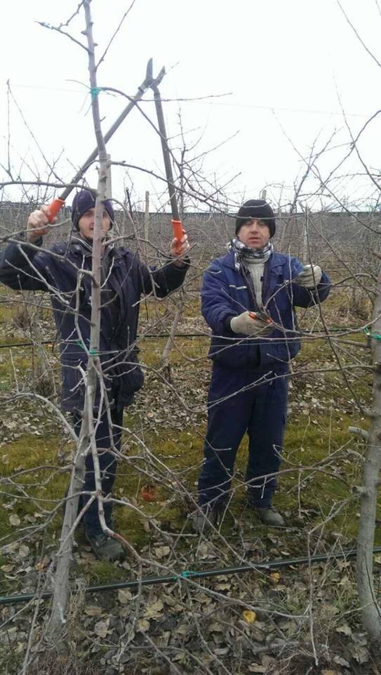 Krasitje