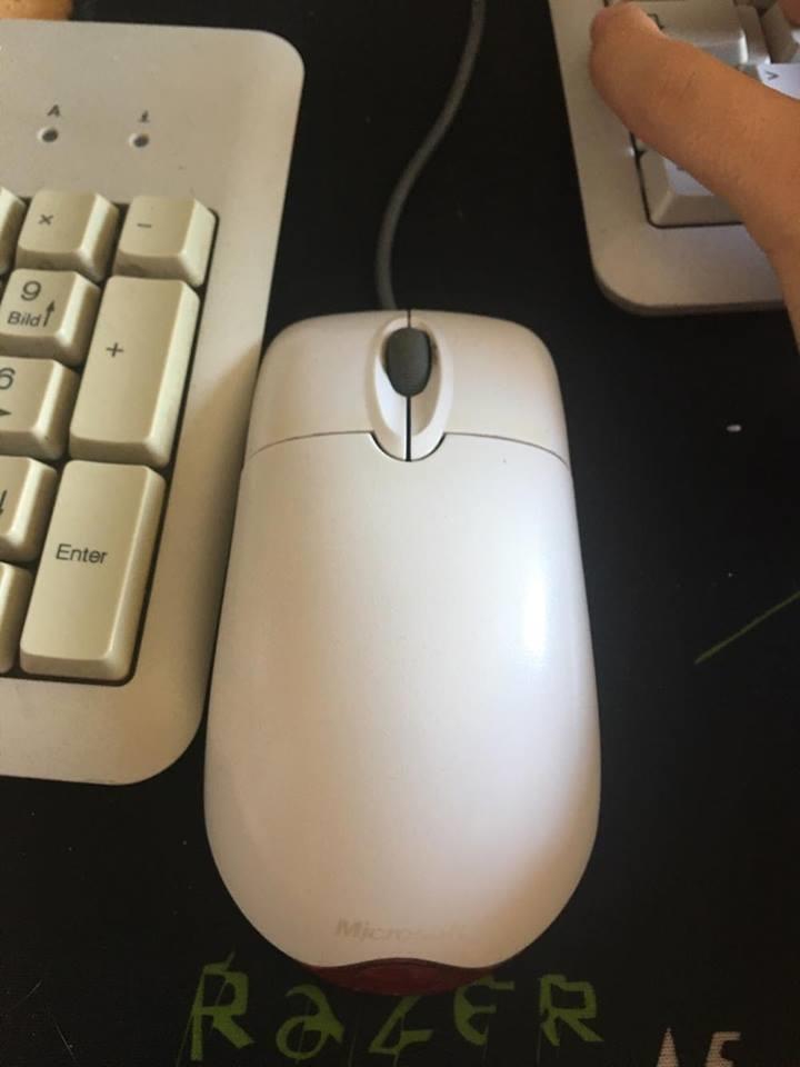 MAUS-MICROSOFT