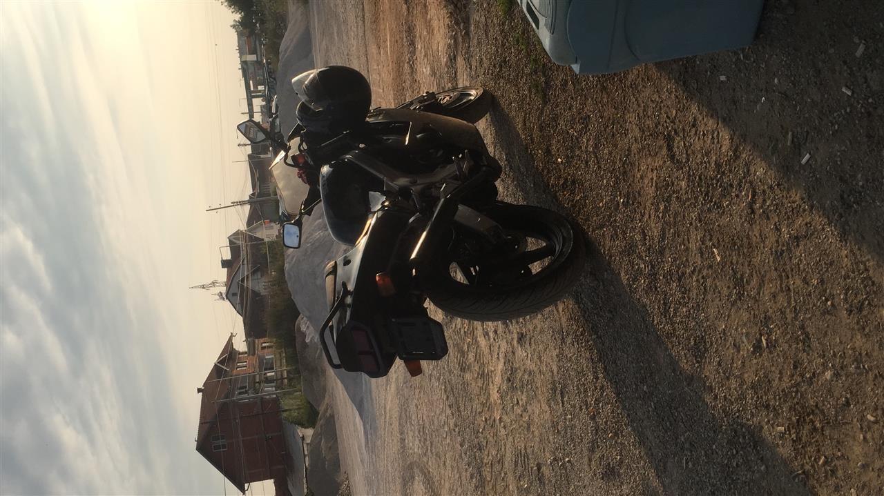 Shitet-Suzuki