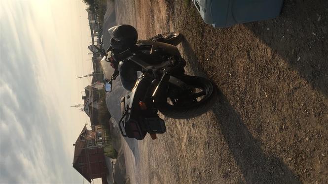 Shitet Suzuki