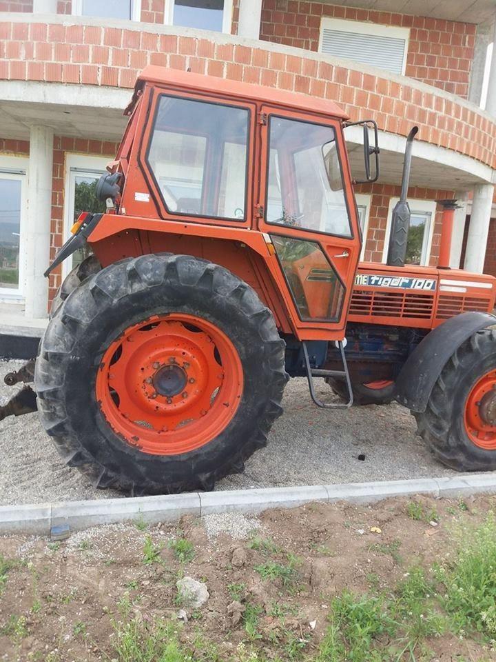 Same-tiger-100