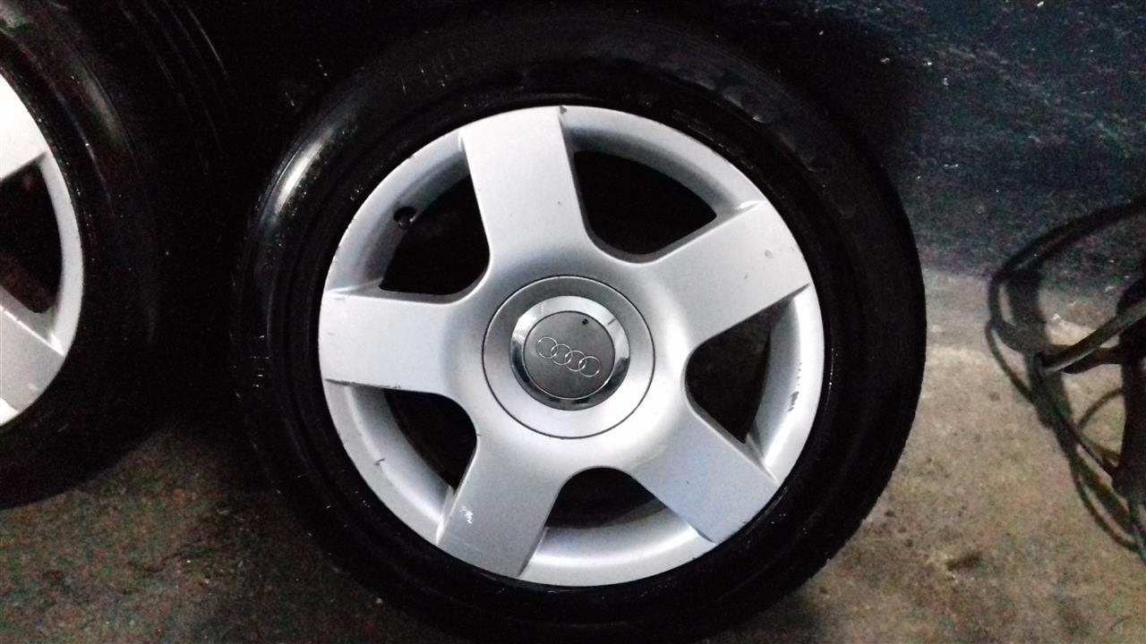 fellne-per-audi