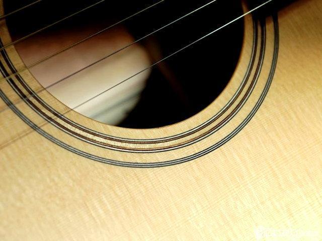 Gitare-WALDEN