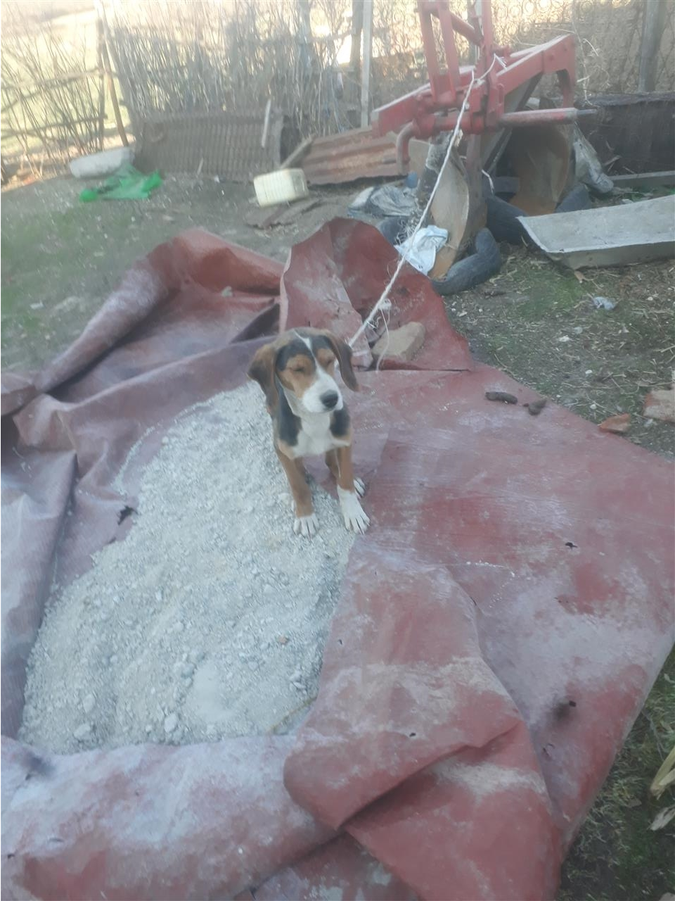 Zagar-