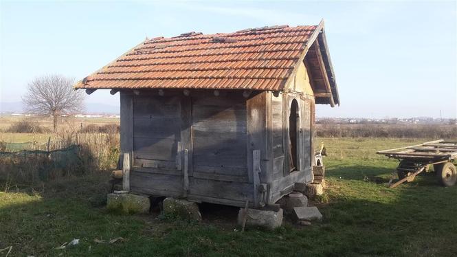 Hamar