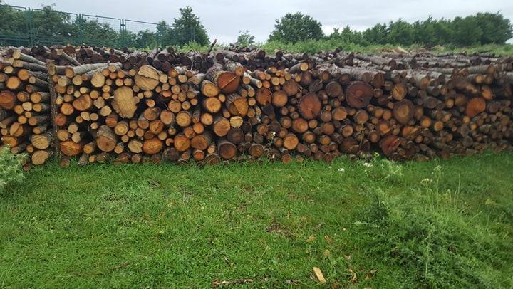 Shiten-Drut-