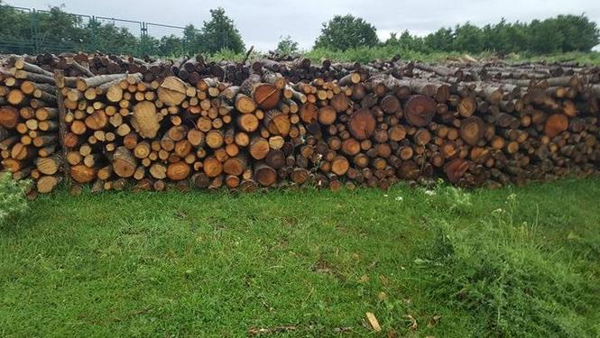 Shiten Drut 