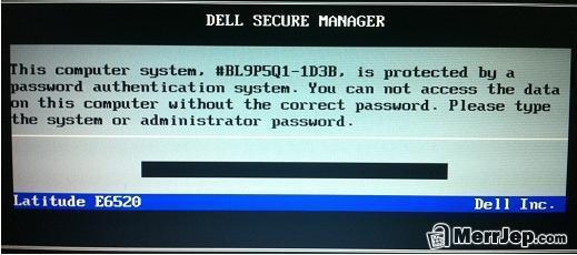 Bios-Dekodim---Bios-Decoding-Service-