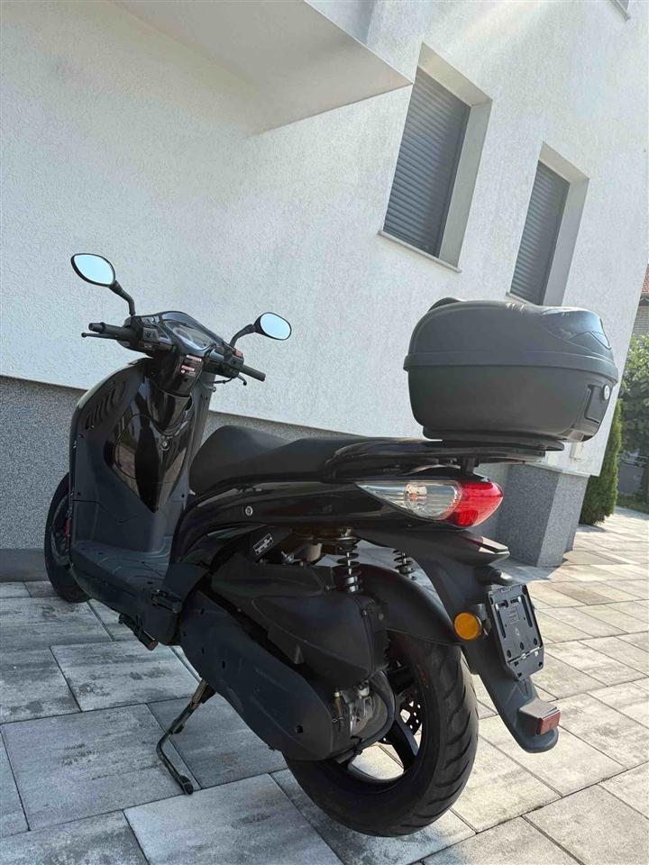 Shitet-Lintex-300cc
