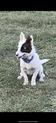Bub