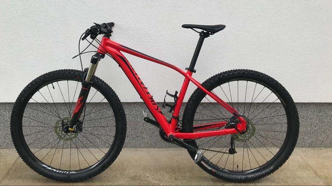 specialized 29