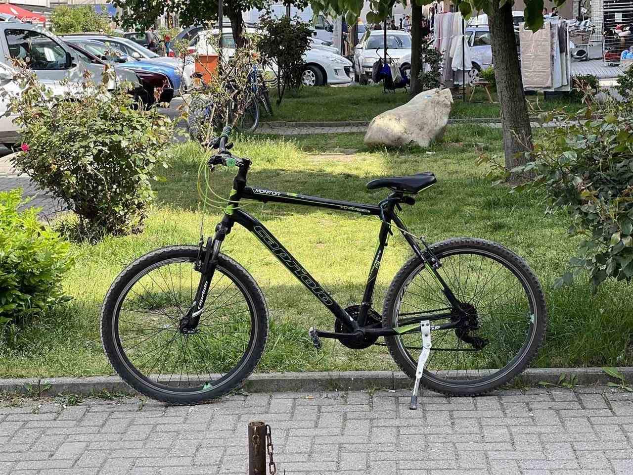 Capriolo