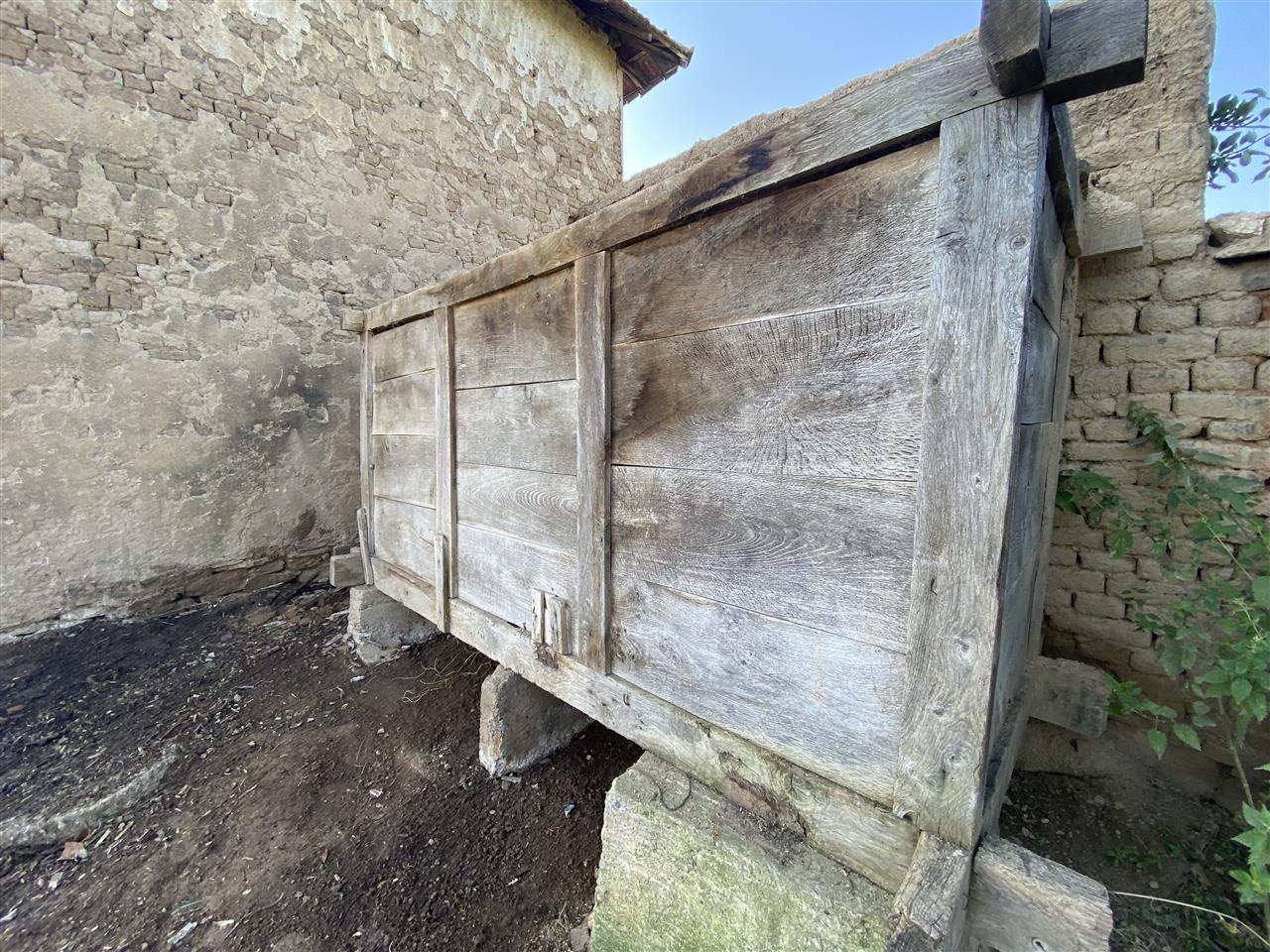 Hamari
