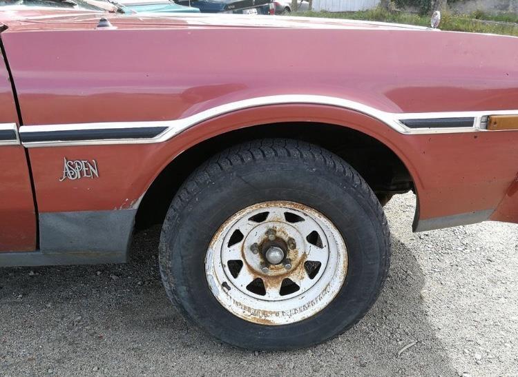 Dodge-