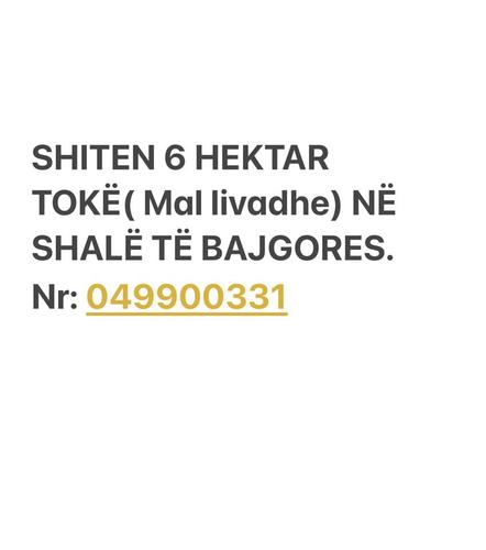 SHITET