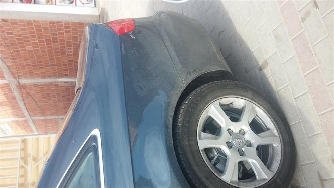 Fellne audis 16