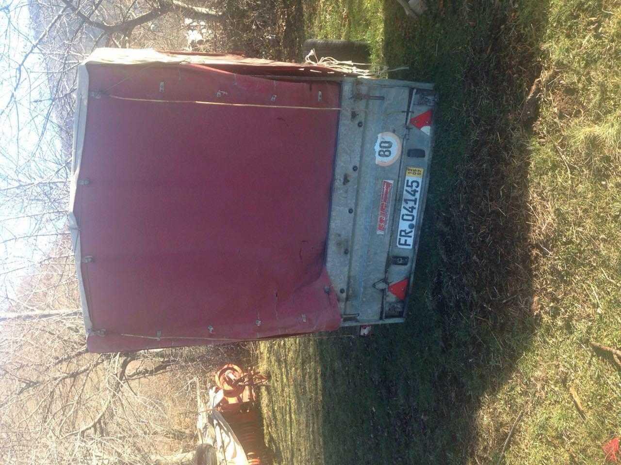 prokolic