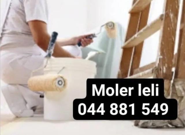 moler-leli