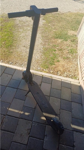 Trotinet