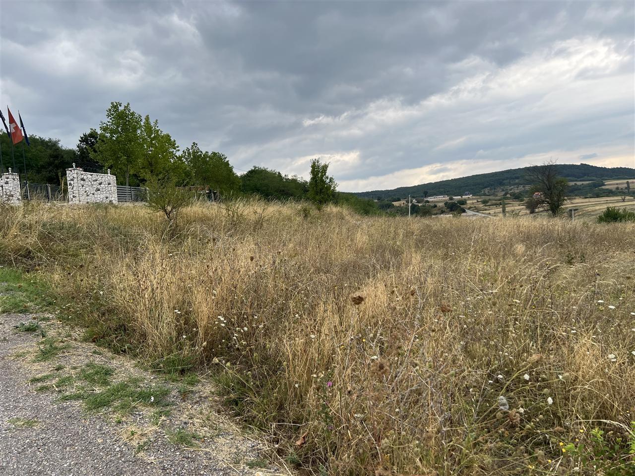 Shitet-parcella-40-ari-ne-kosaq-parcella-ka-rrug-si-dhe-pamj