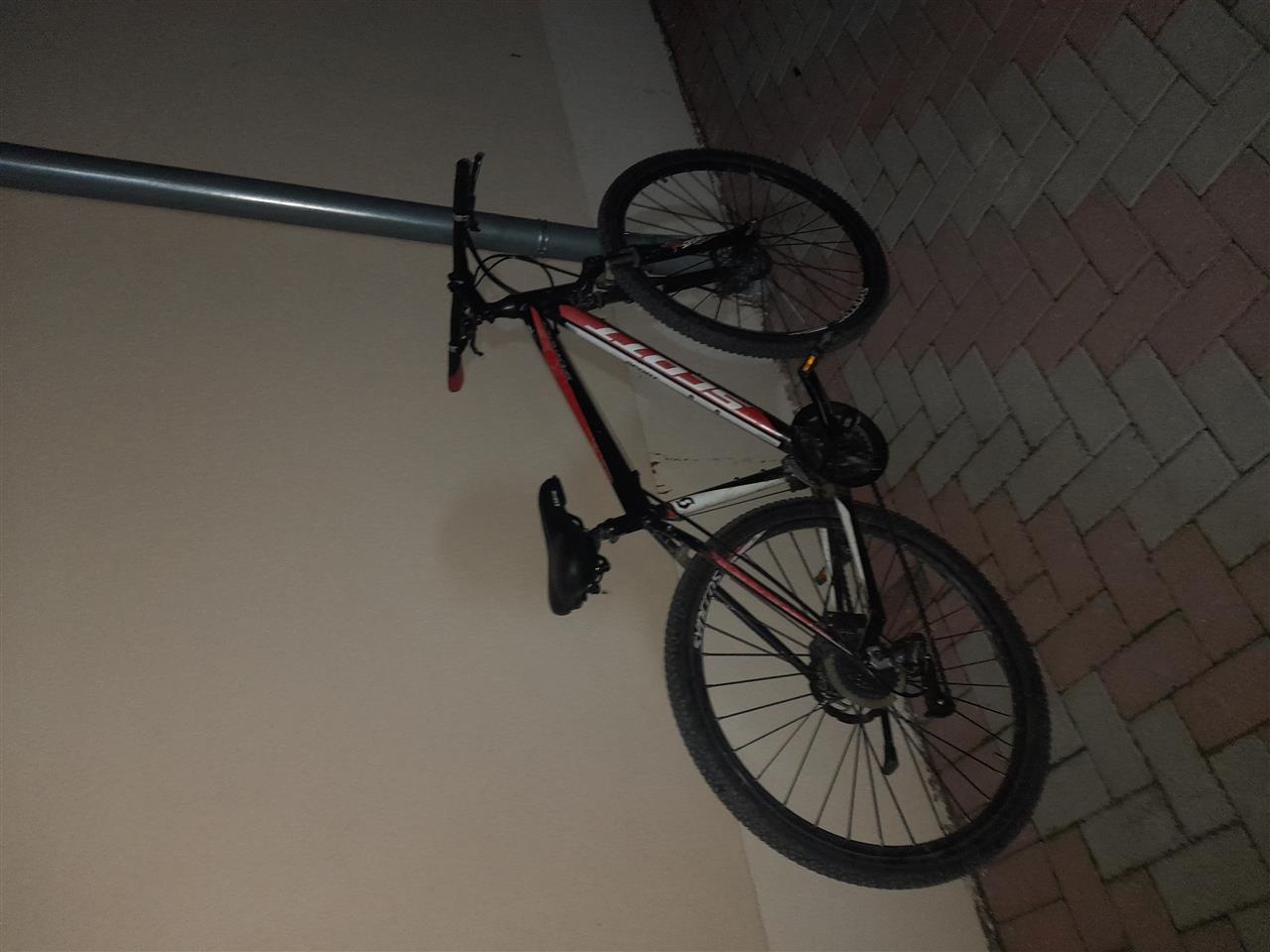 Shitet-scoot