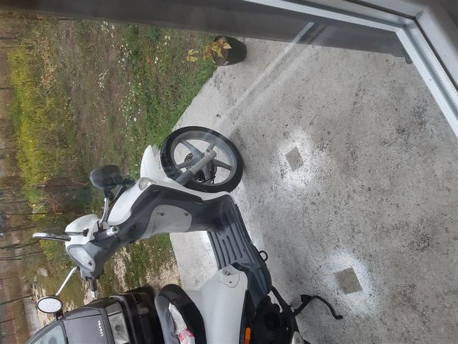 motorr