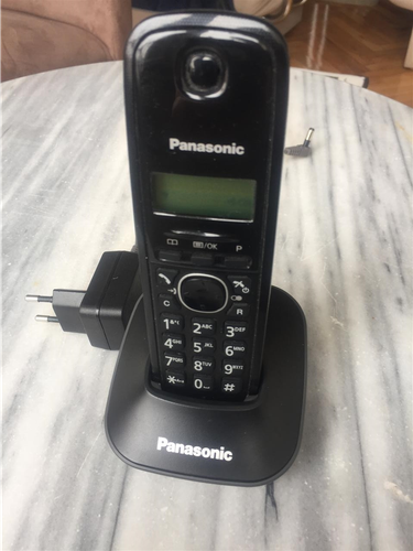 Panasonic