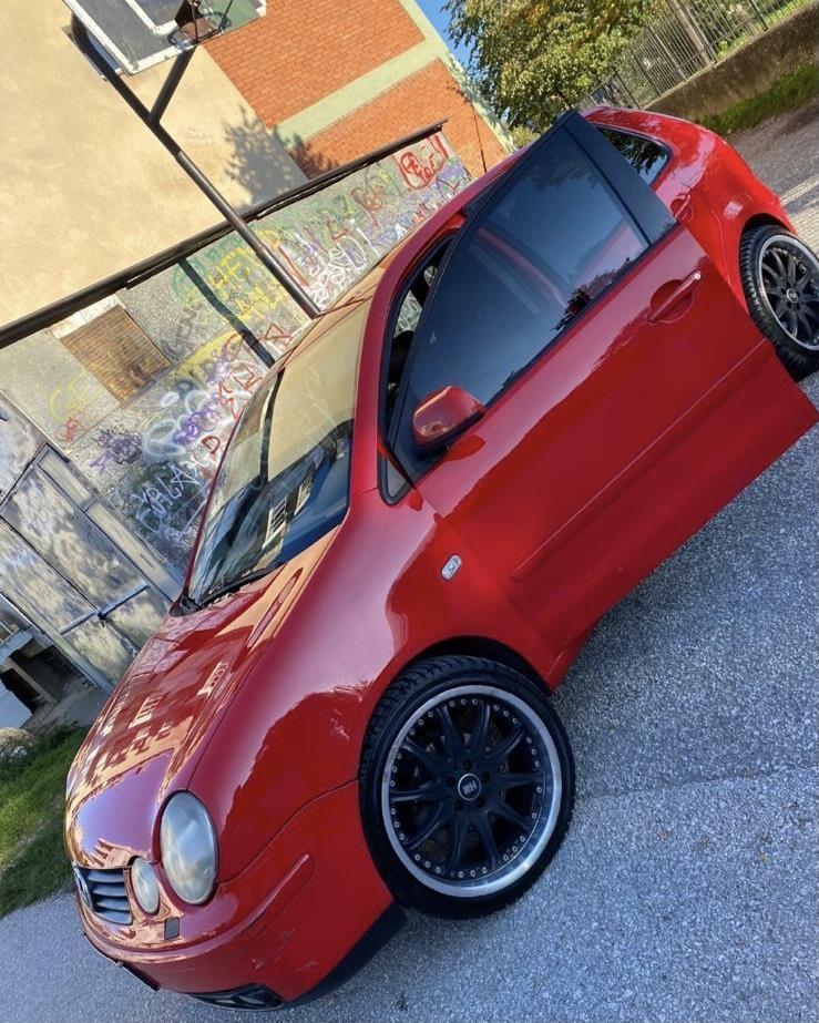 Polo-