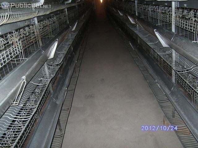 Farma Pulave