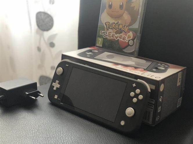 Nintendo switch lite