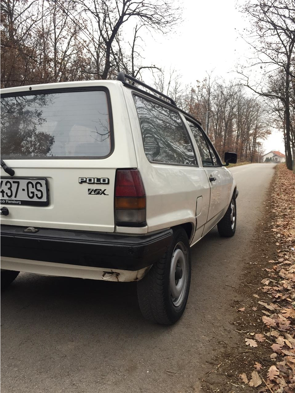 Polo