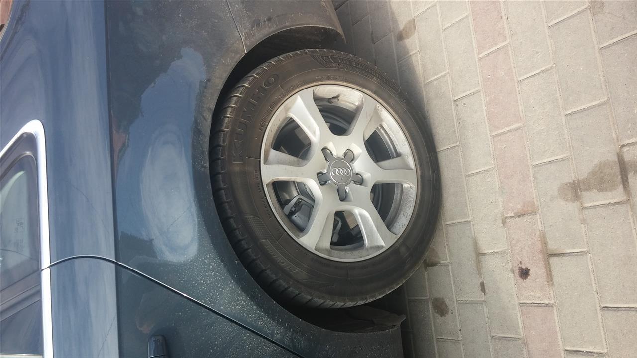 Fellne-audis-16